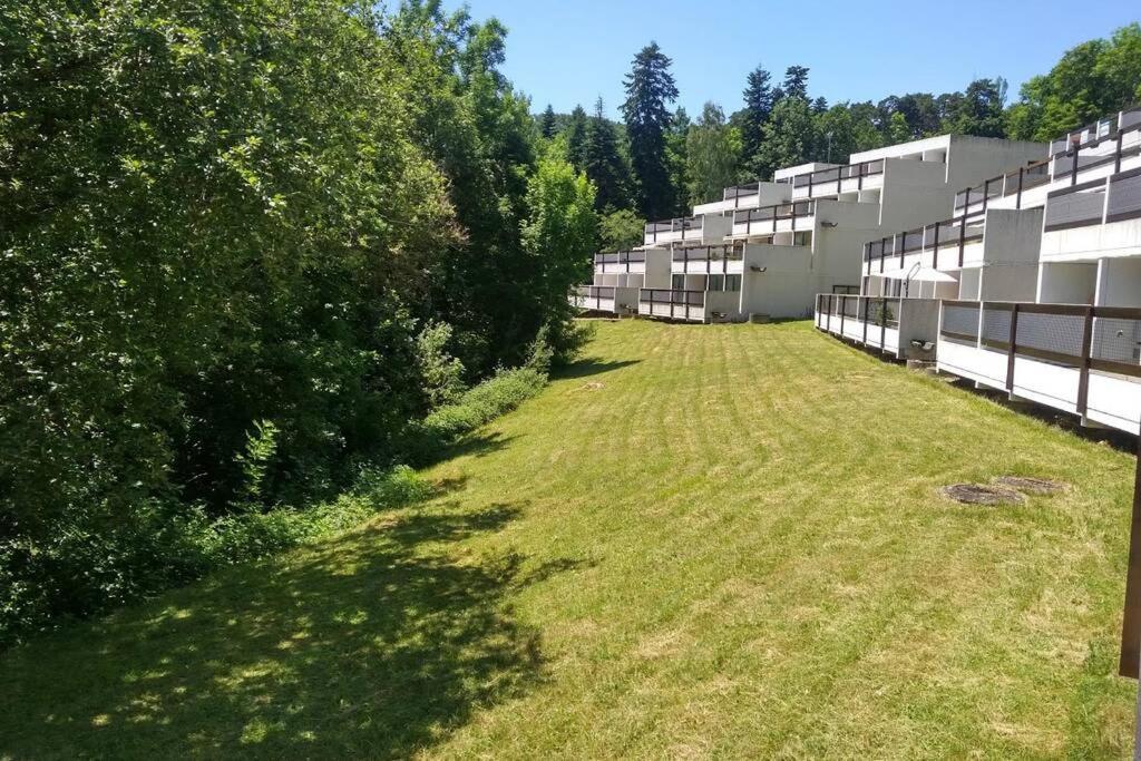 Studio Au Coeur Des Volcans D Auvergne - 뮈롤 외부 사진