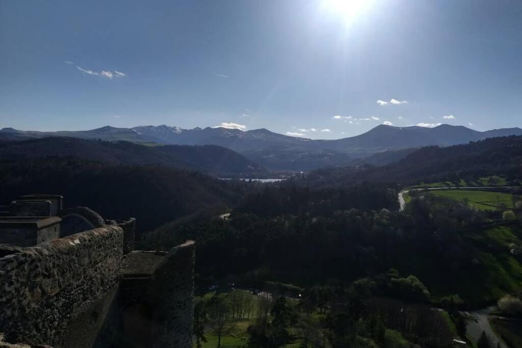Studio Au Coeur Des Volcans D Auvergne - 뮈롤 외부 사진